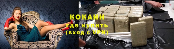 прущие грибы Зеленокумск
