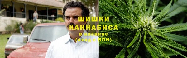ГАЛЛЮЦИНОГЕННЫЕ ГРИБЫ Зеленодольск