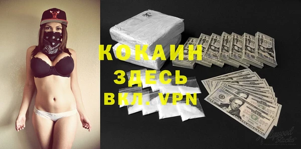 прущие грибы Зеленокумск