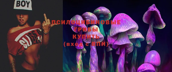 прущие грибы Зеленокумск