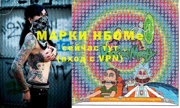 прущие грибы Зеленокумск